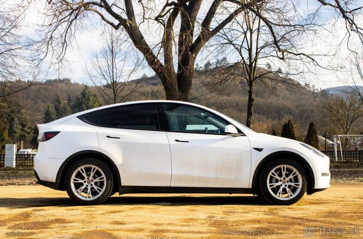 Tesla Model Y Long Range Dual Motor - 2