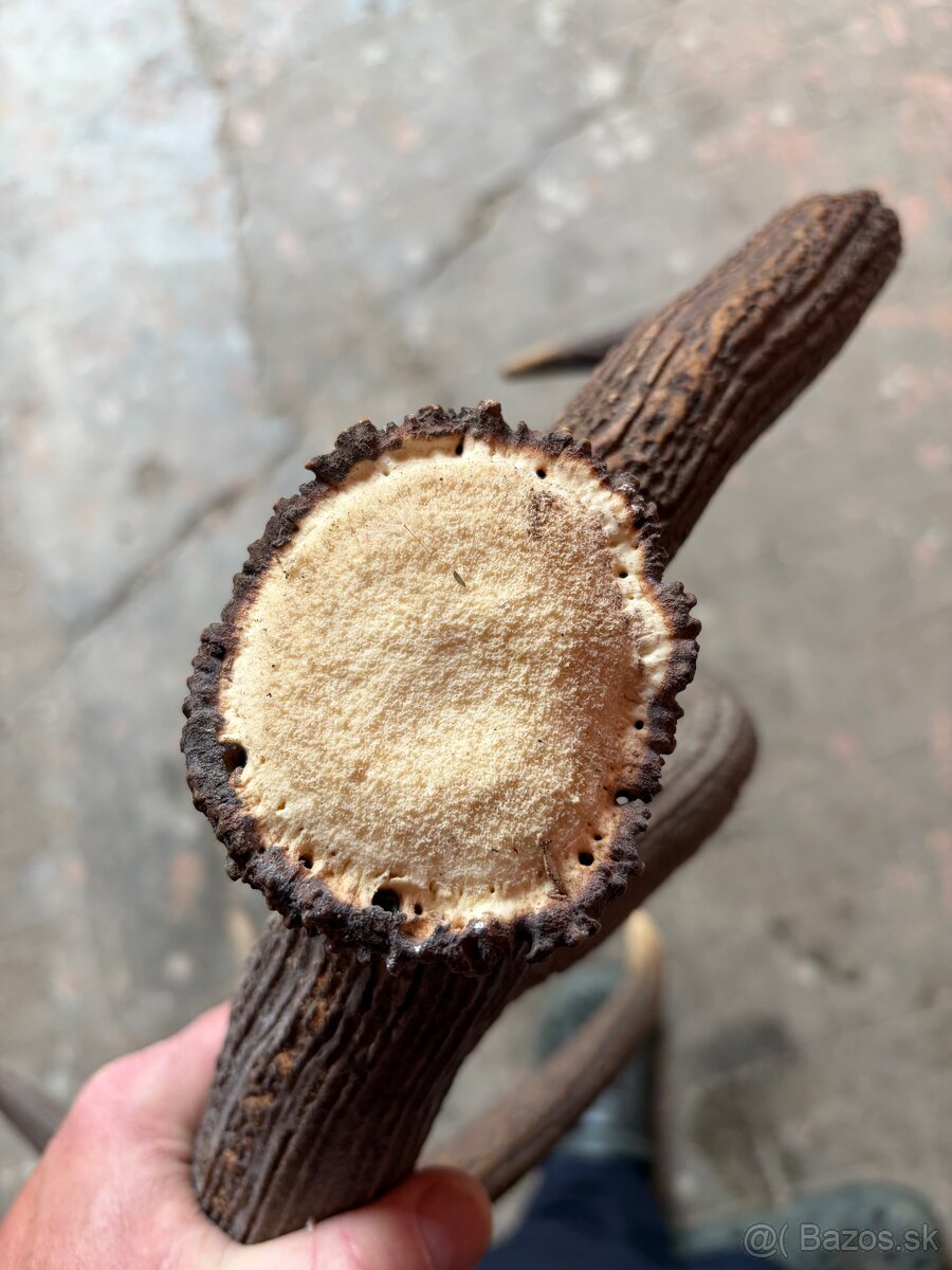 Zhody, parohy - 2