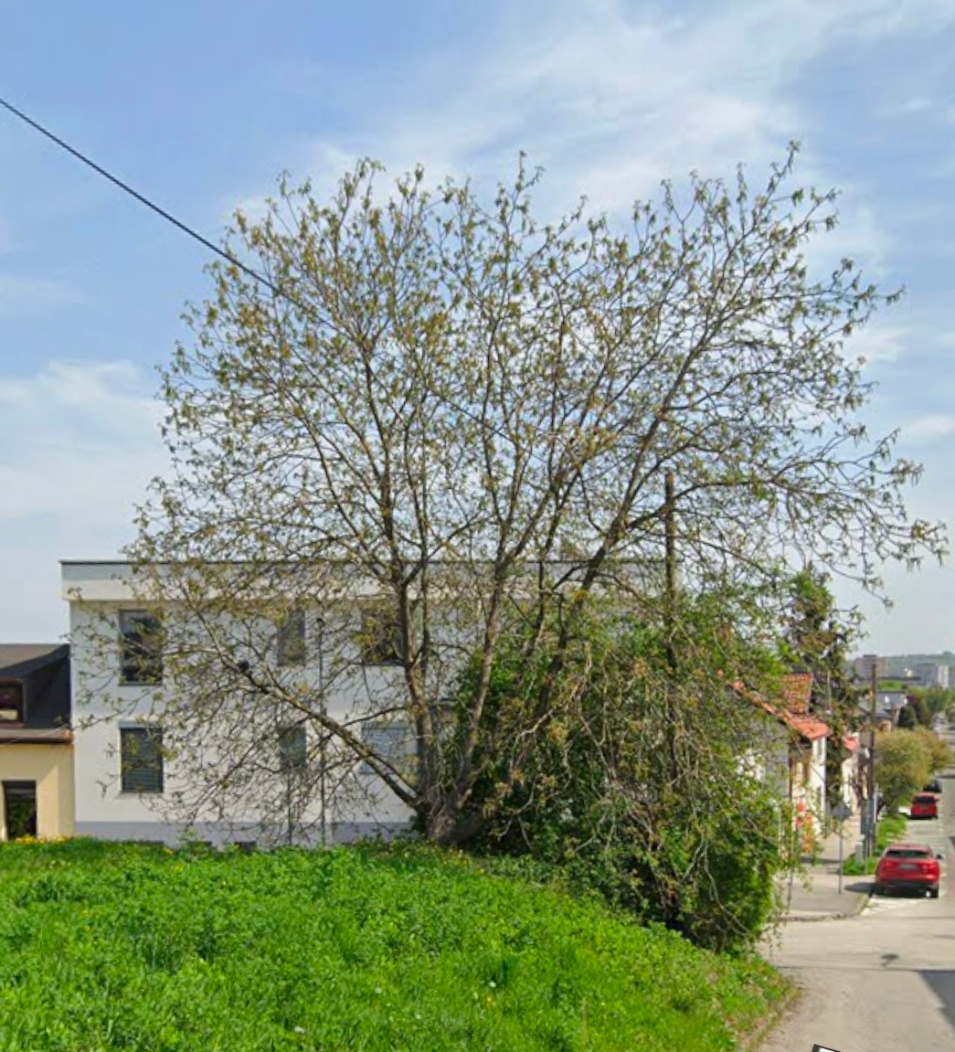 Predam čerstvé drevo - orech - 2