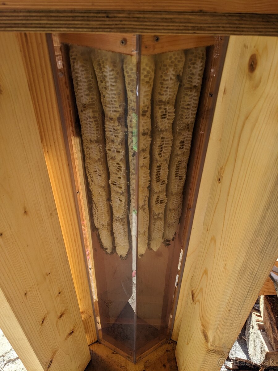 Predám presklený včelí úľ - 2