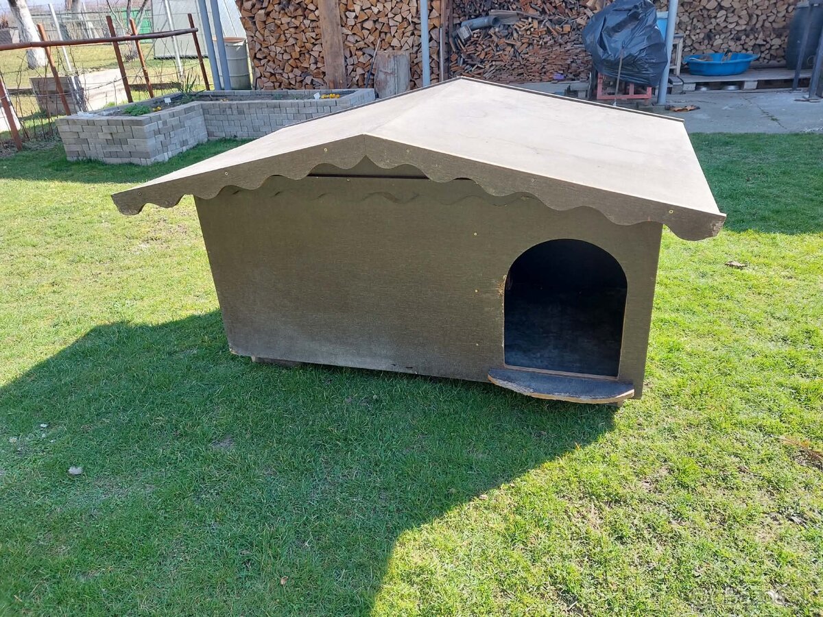 Búda pre psa - 2