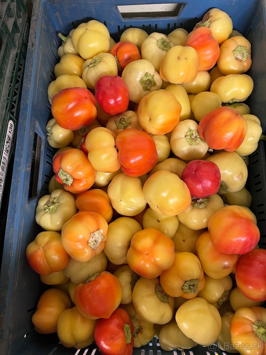 Almapaprika - 2
