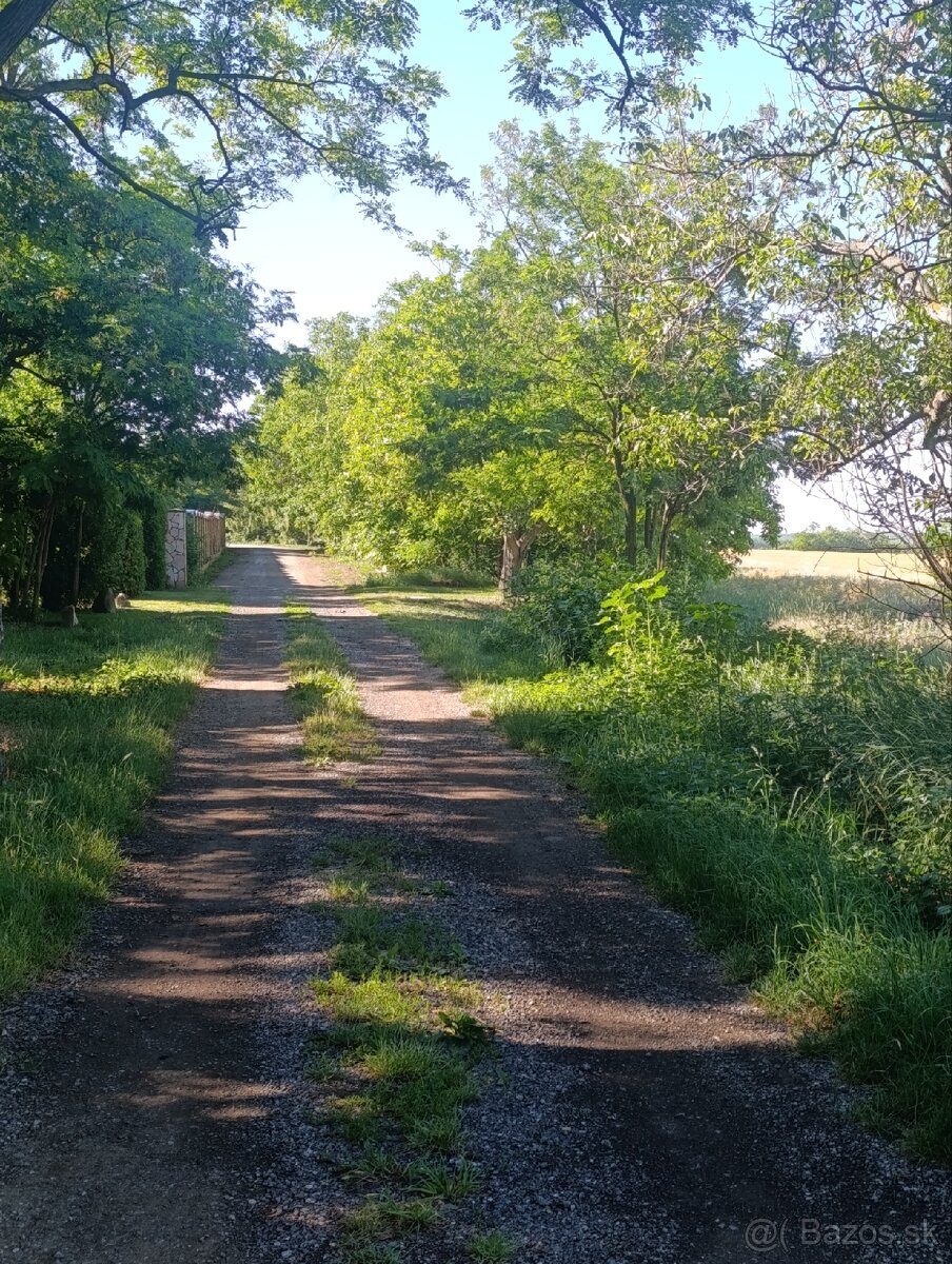 Záhrady - 2