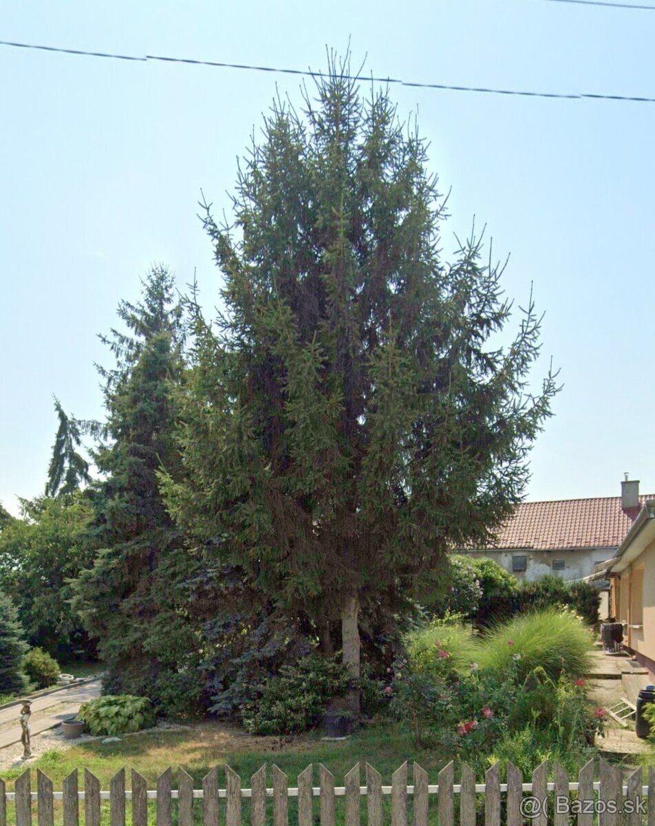 Zrekonštruovaný dom v obci Soľnička - 2