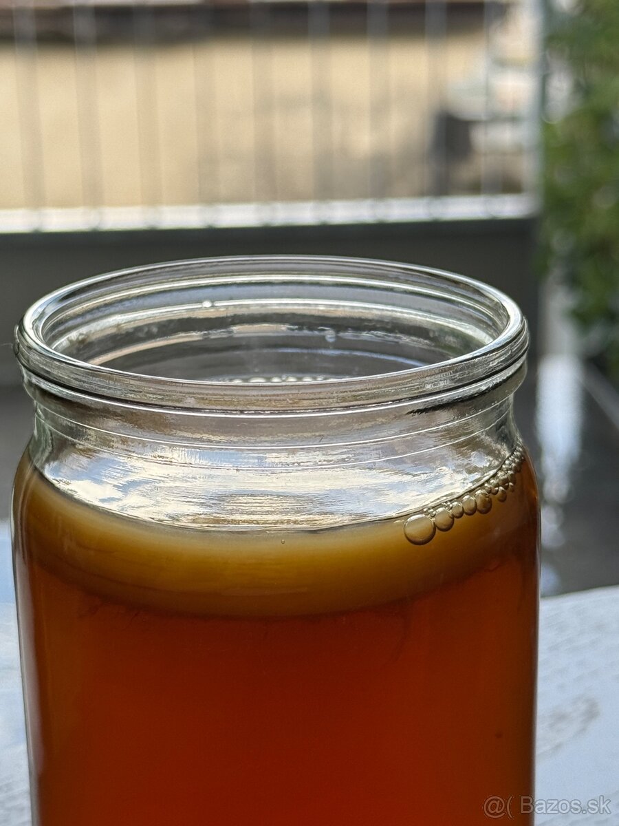 SCOBY - 2