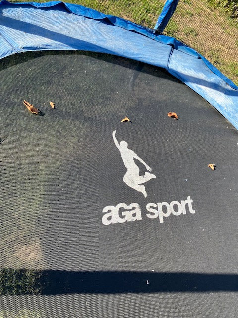 Trampolina - 180 cm - zdarma - 2