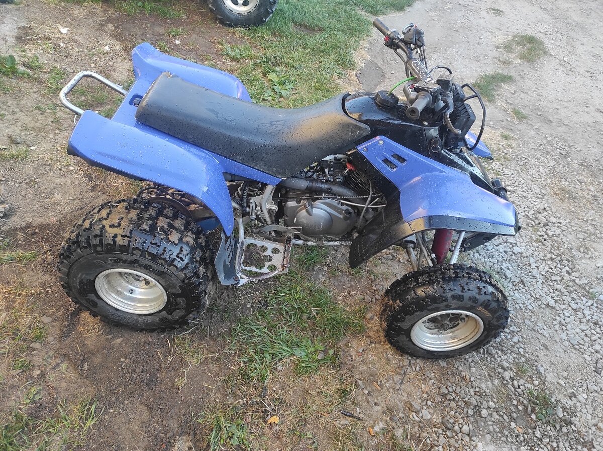 Yamaha warrior 350
