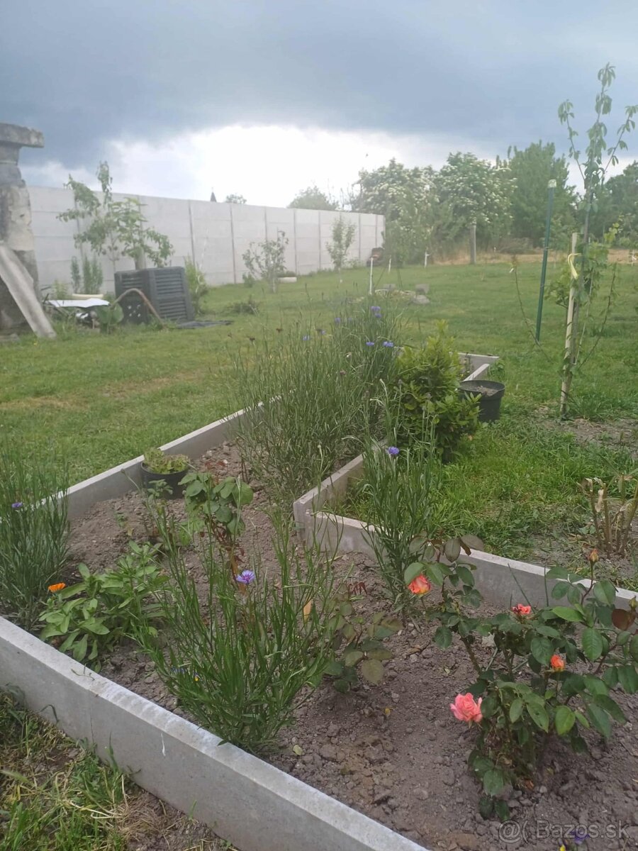 Rodinný dom na pozemku 9,5á v tichej časti obce Padáň - 2