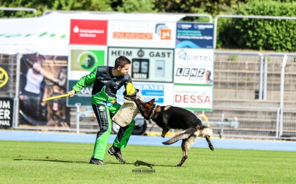 Nemecký ovčiak s PP - 2