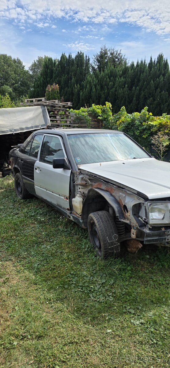 Mercedes w124 - 2