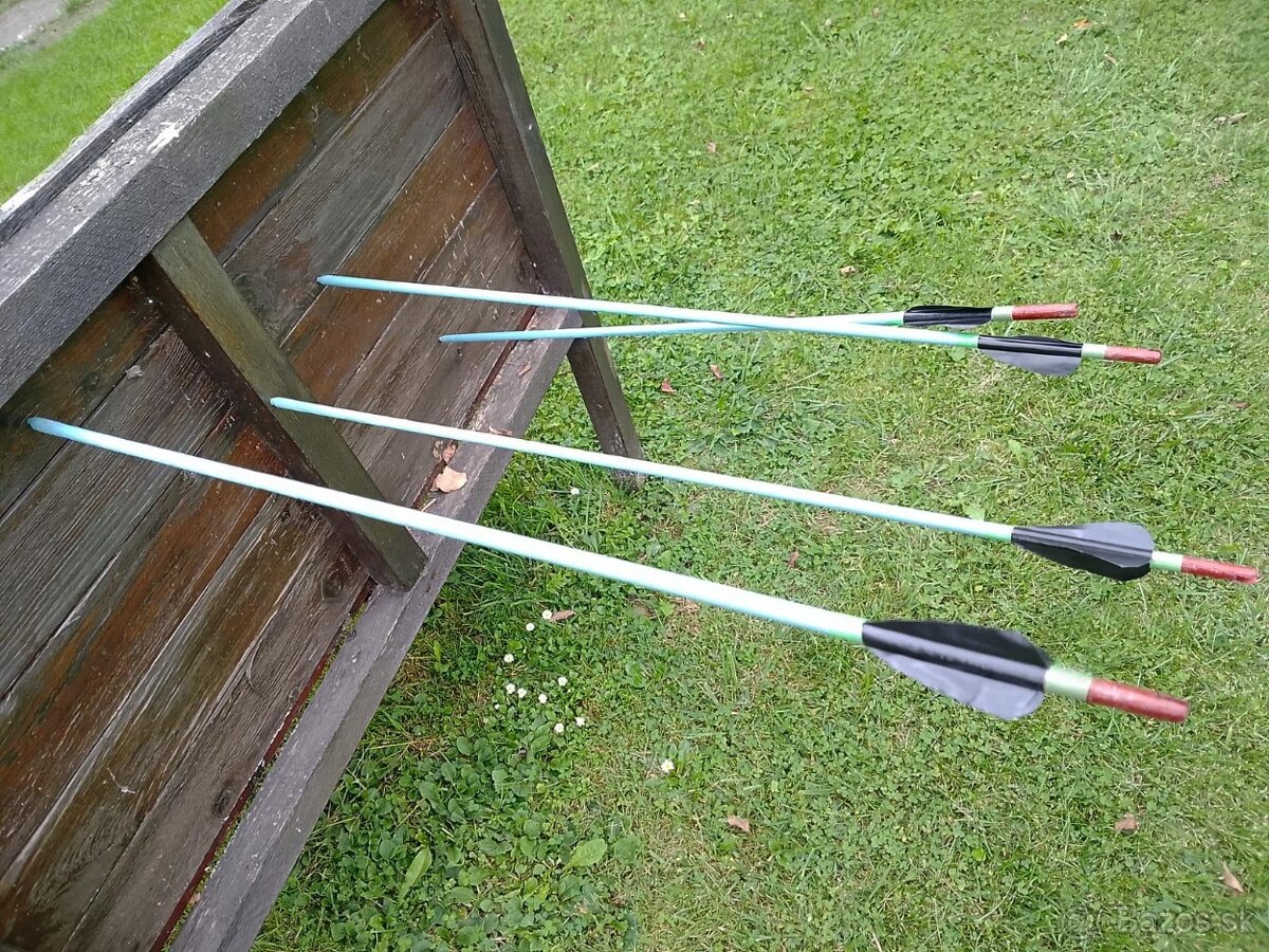 Luk + 10x šípy - 2