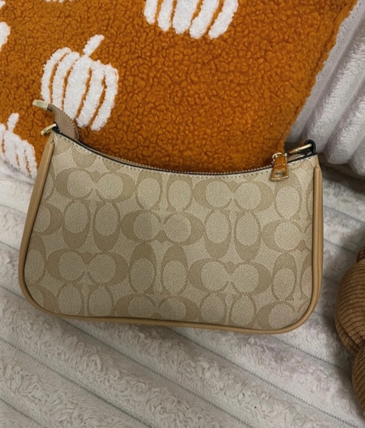 Coach Teri shoulder or handbag new - 2