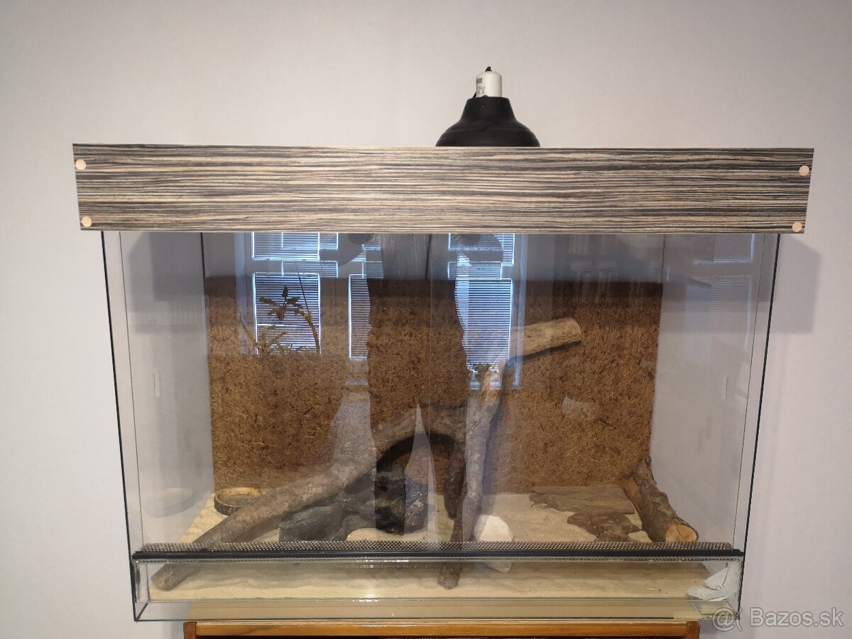 Terarium 100cmx75cmx45cm - 2