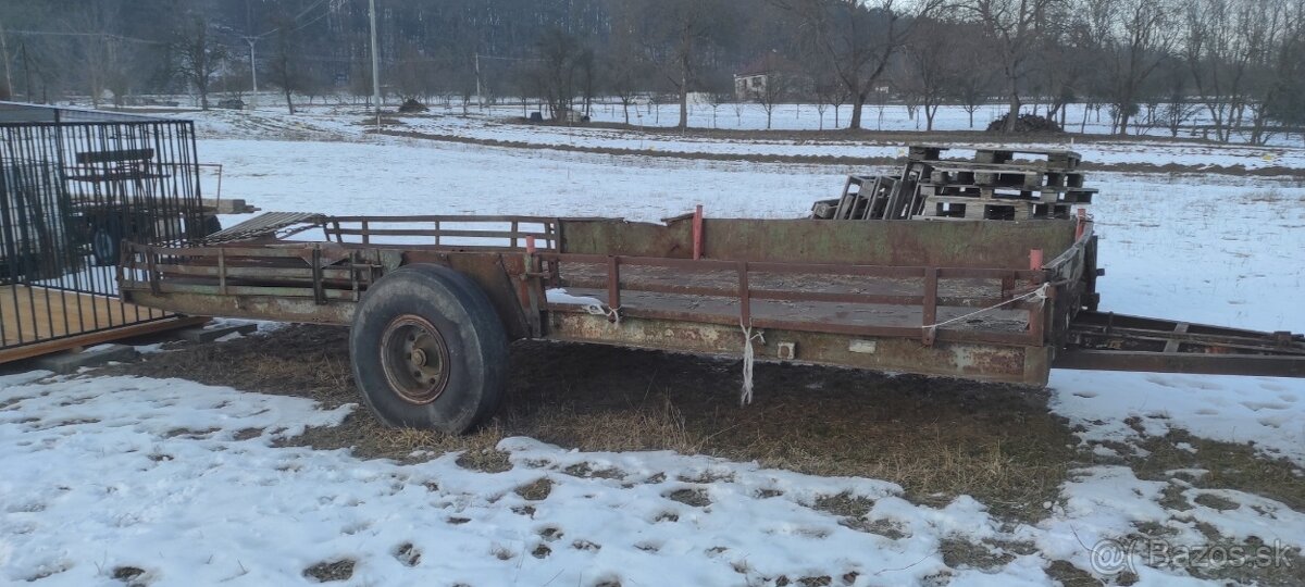 Plaťák veľký - 2