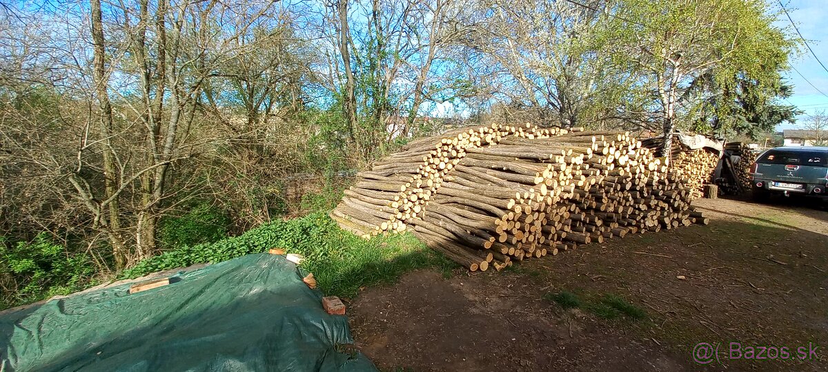 Predam agatove koly stlpy zrde - 2