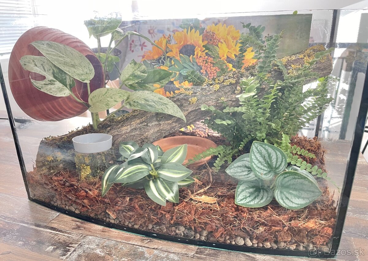terarium - 2