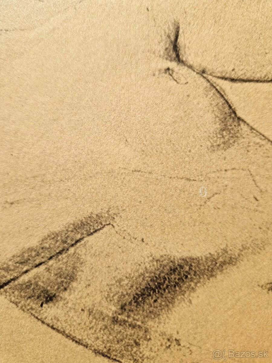 Gustav Klimt - (vysokokvalitná tlač) z roku 1980 (8) - 2