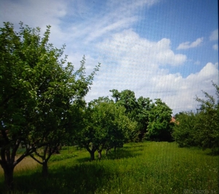 Rodinný dom - Lúčnica nad Žitavou - 2