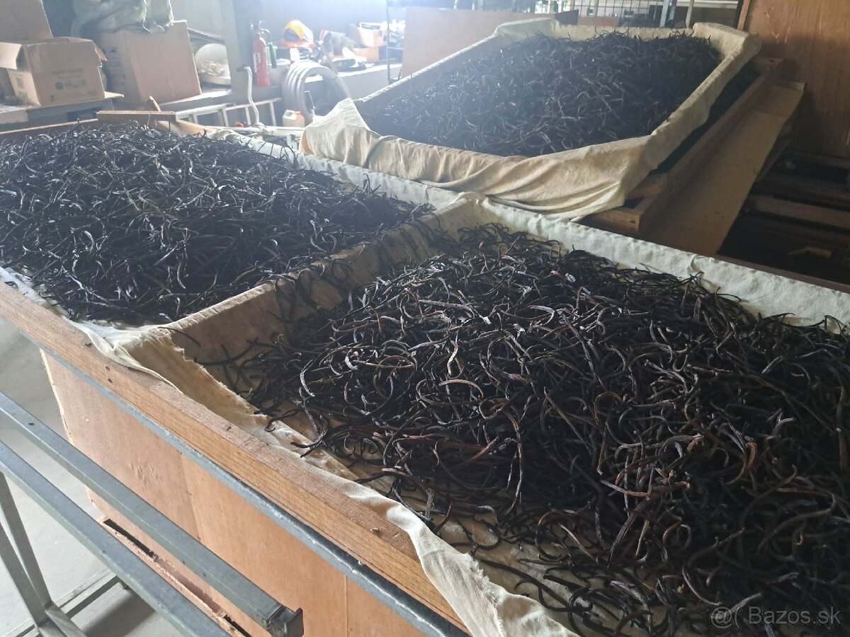 Prémiová vanilka z Maurícia - 2