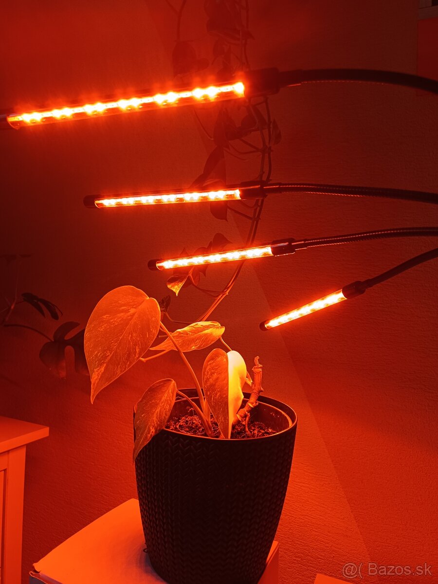 Lampa na rastliny - 2