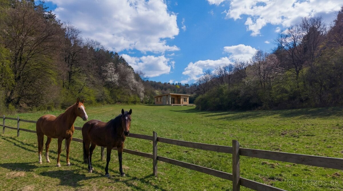 PREDAJ: Pozemok v obci Beckov - 2