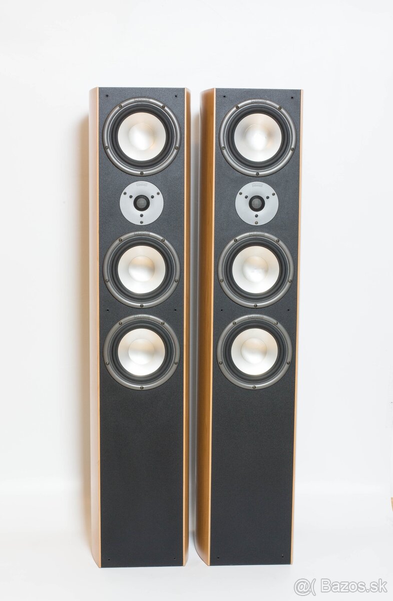 Magnat Vintage 350 - 2