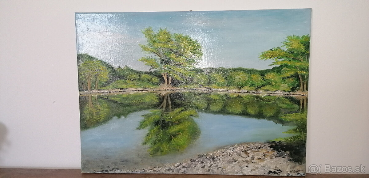 Predám zbierku 6 obrazov. - 2