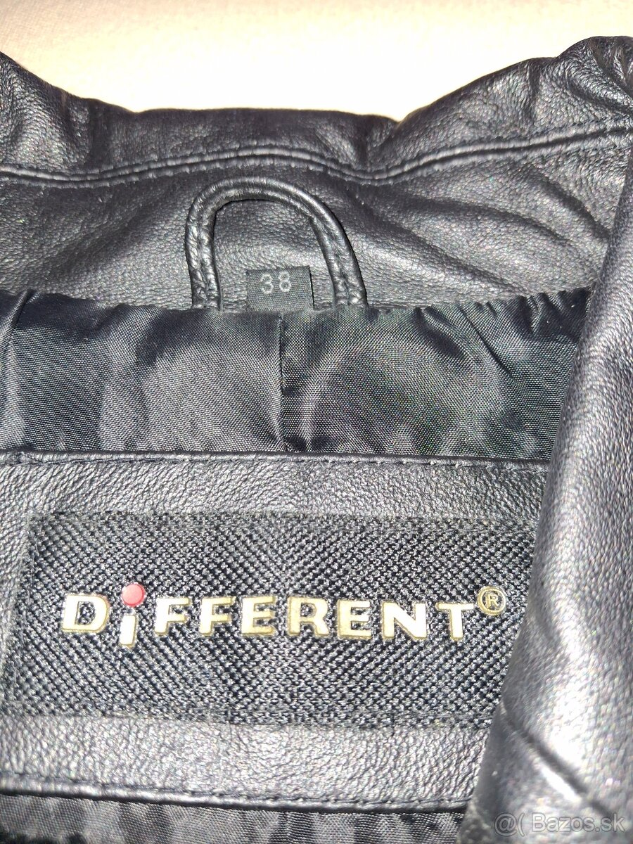 koženka dámska - 2