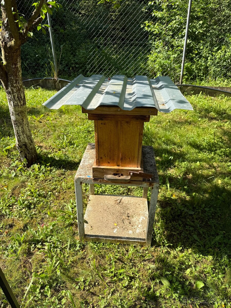 Odchytený roj - 2