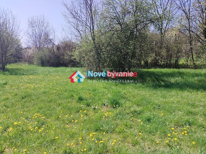 Predaj, veľký pozemok - Drženice (N020-14-MAHA) - 2