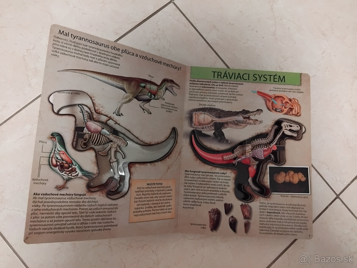 Kniha o dinosauroch - 2