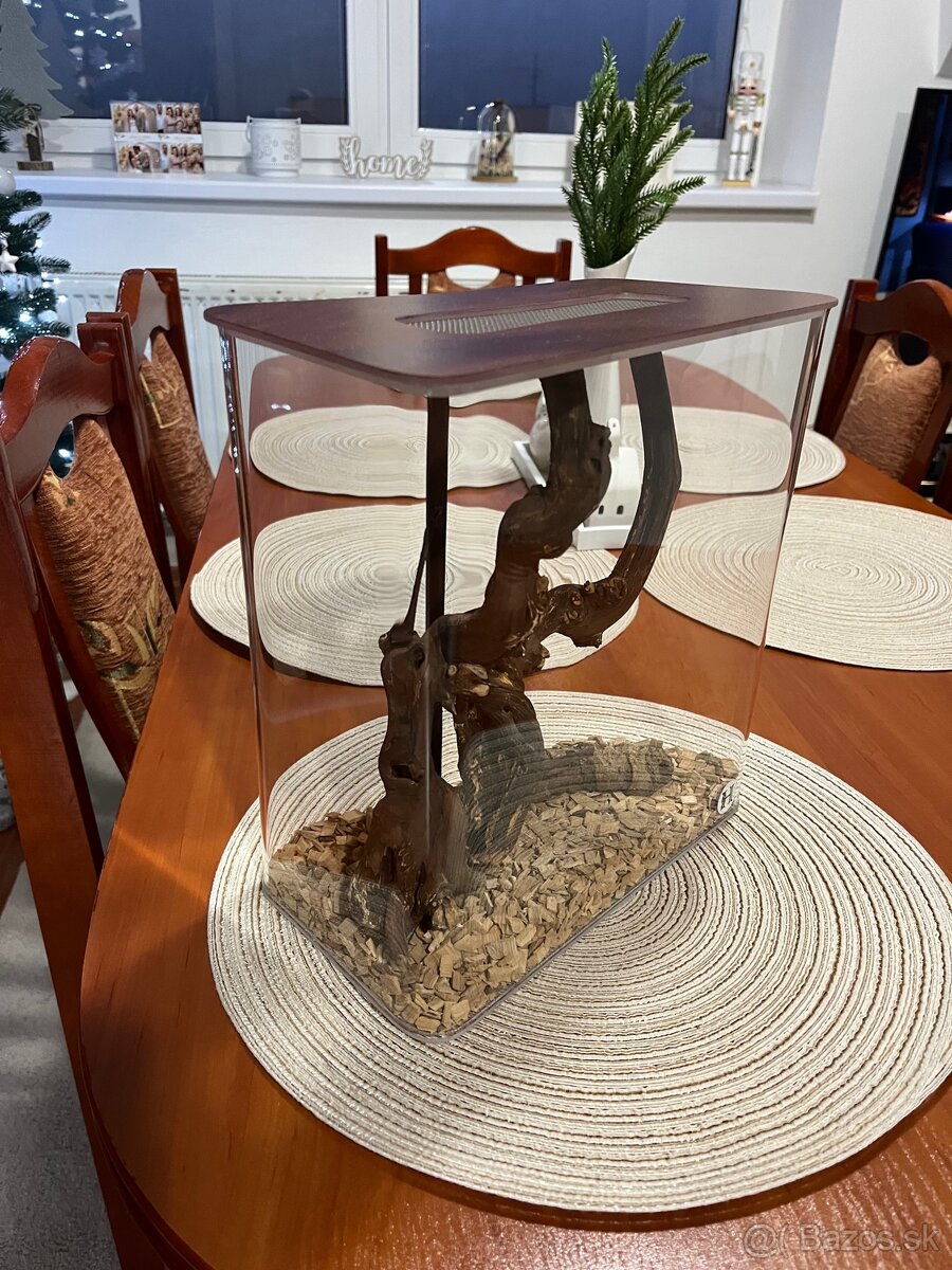 Dizajnové Terarium/ insektárium - 2