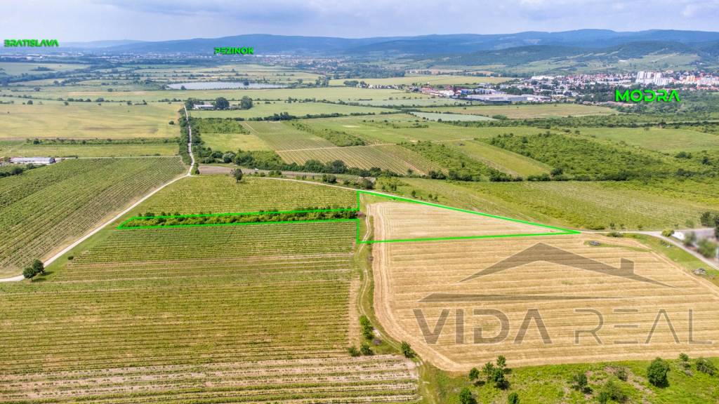 Na predaj zaujímavý pozemok v Modre s výmerou 6419 m2 - 2