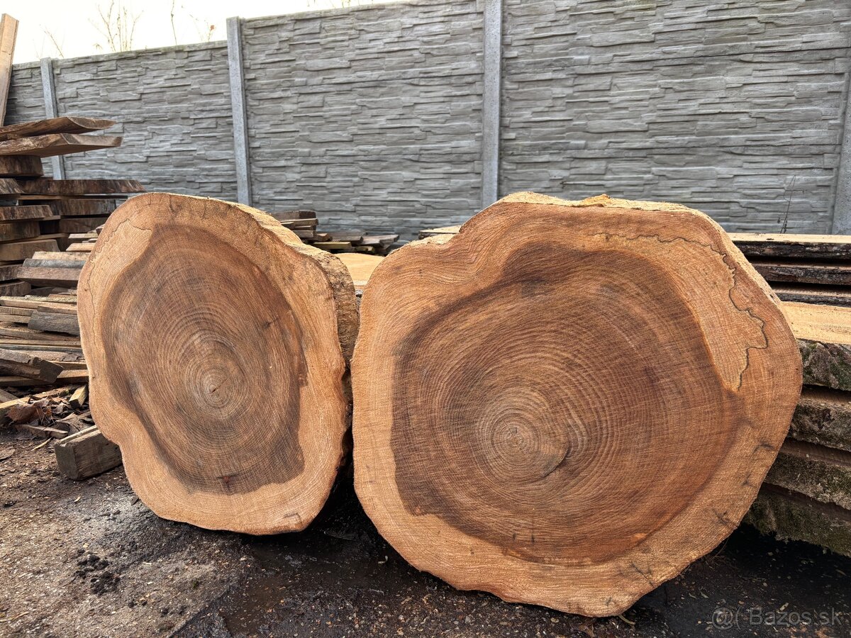 Priečne rezy kmeňom Brest Brestove Rezivo Drevo Koláče - 2