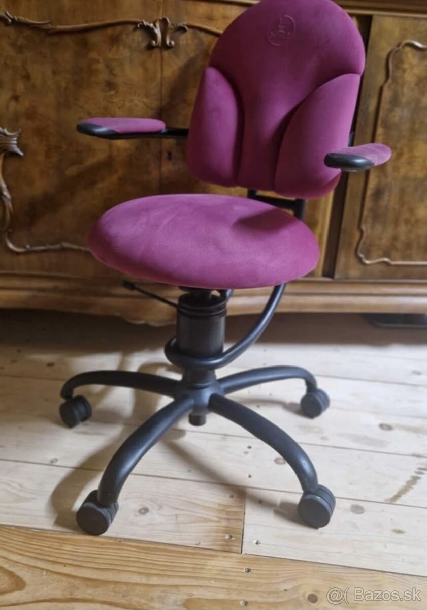 SPINALIS STOLIČKA - 2