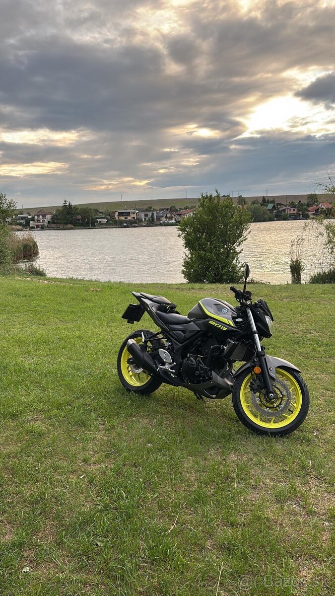 Yamaha MT-03 - 2