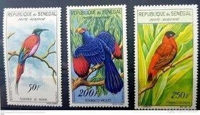 Fauna svet - 2