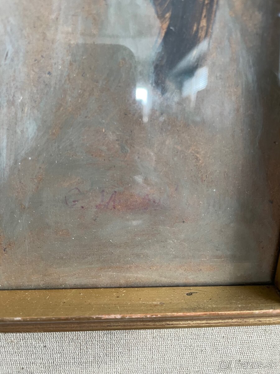 Obraz prvá pionierka - 2