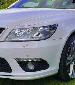 Čierne lesklé mračítka - 2