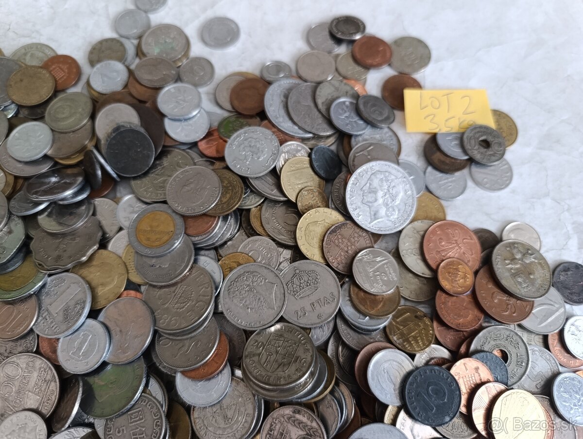 Mince 3.5kg lot2 - 2