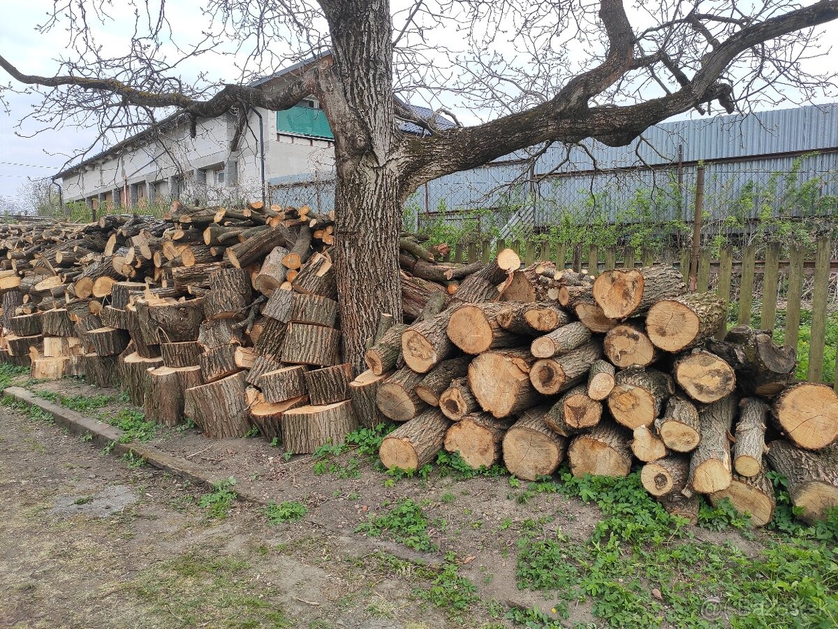 Palivové drevo - 2