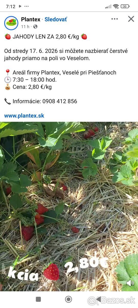 Višne Bio - 2