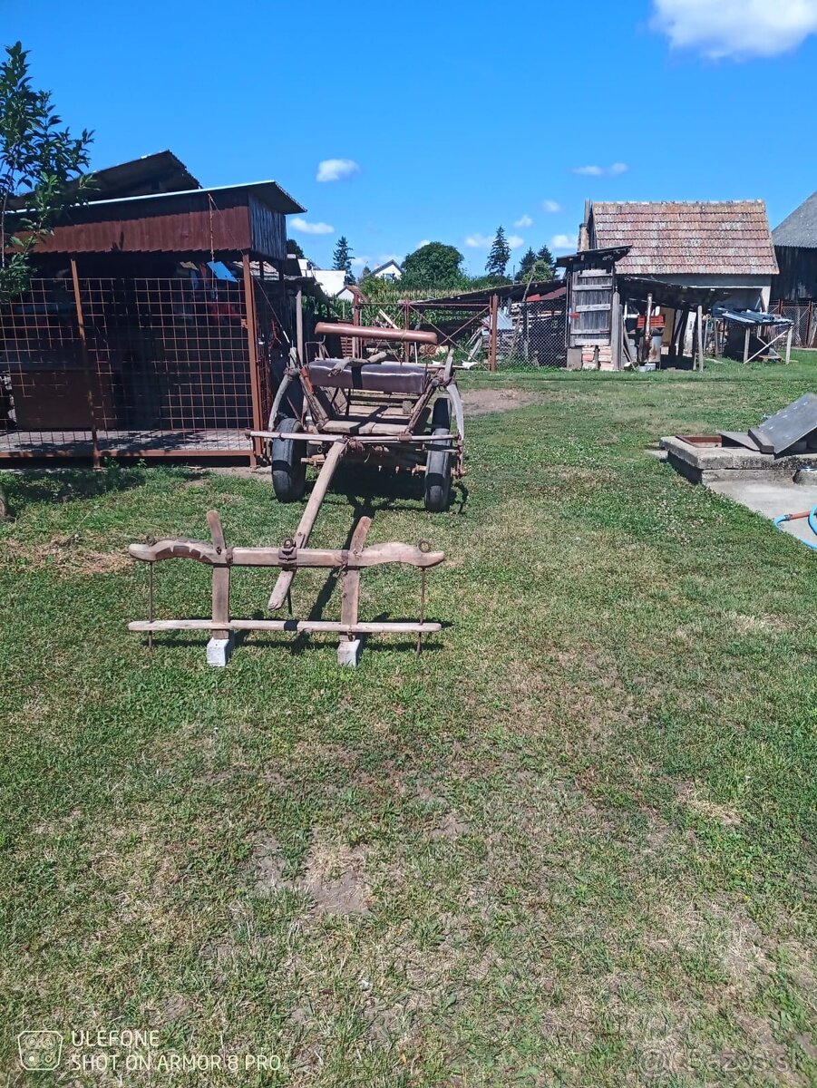 Voz - 2