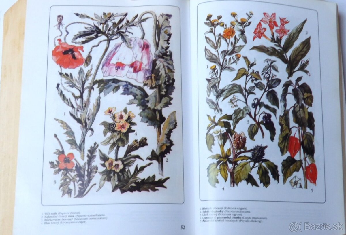 Matthioli - Herbář - sv.3 - 2