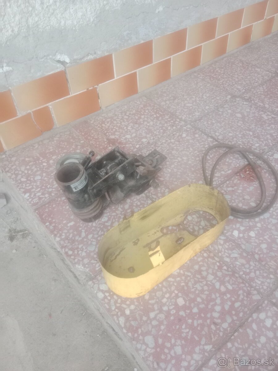 AGZAT LISTOVA KOSACKA rezervovane - 2