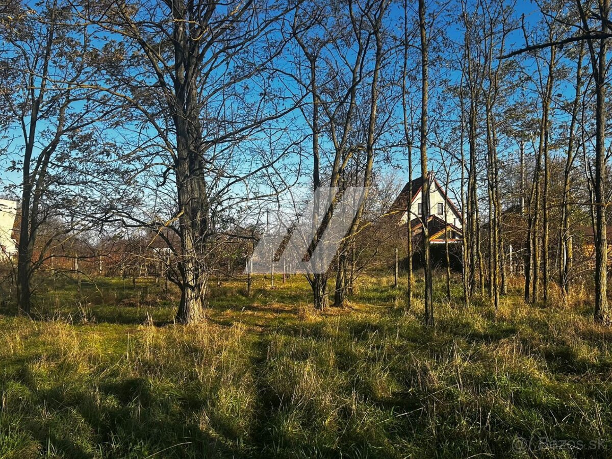 Na predaj: pozemok s vinohradníckym domčekom - 2