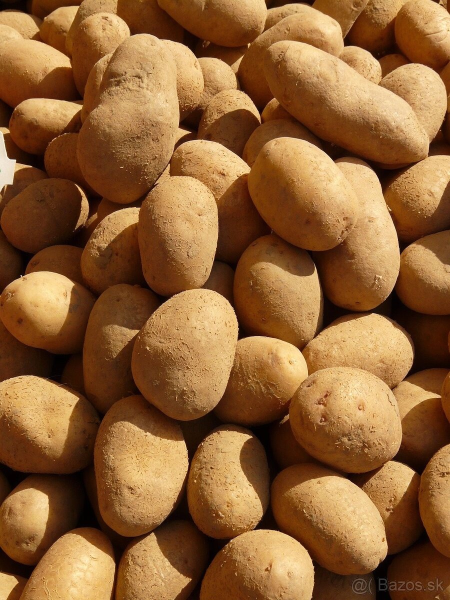 Sadbové zemiaky - 2