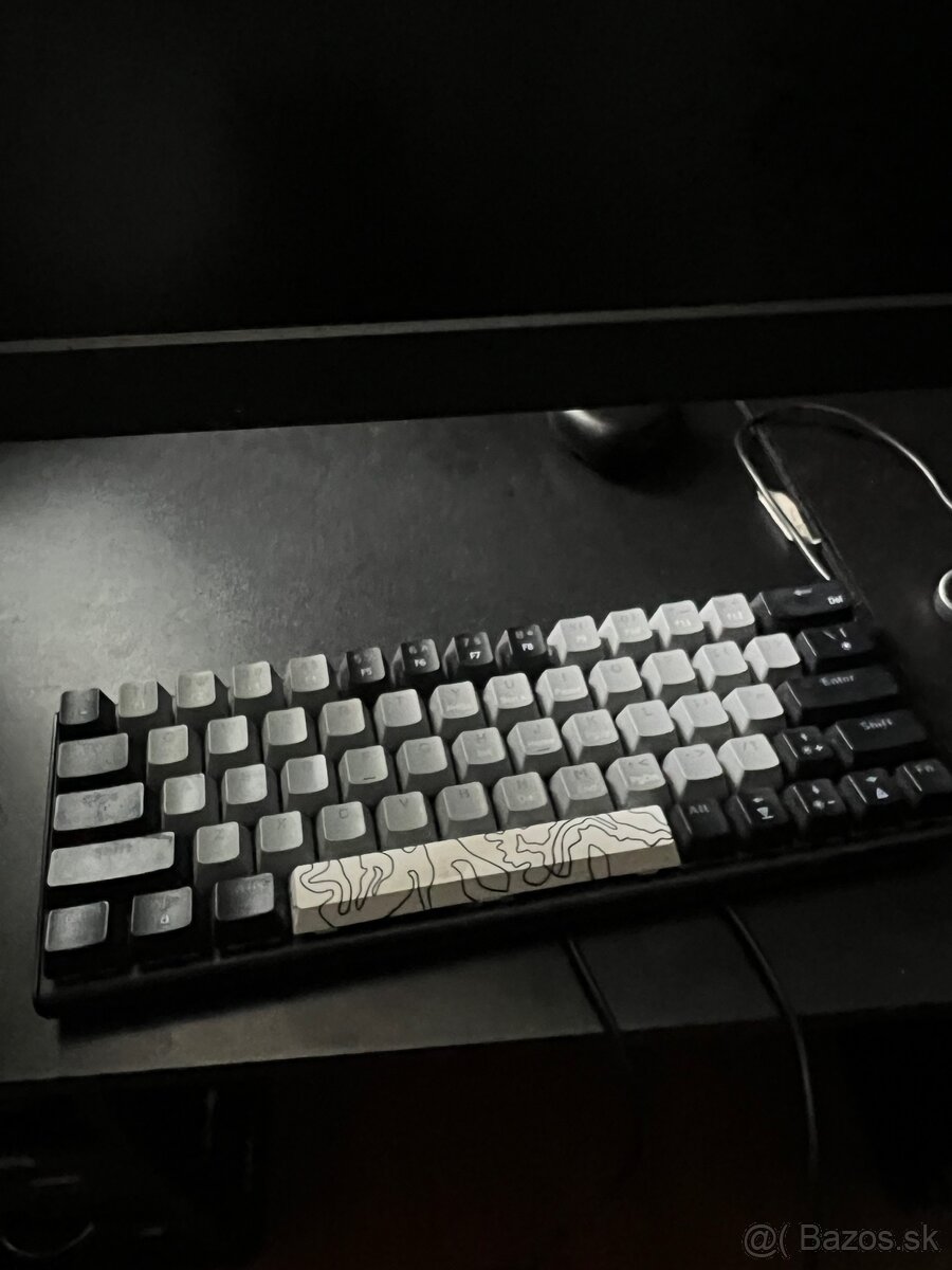 White shark - 2