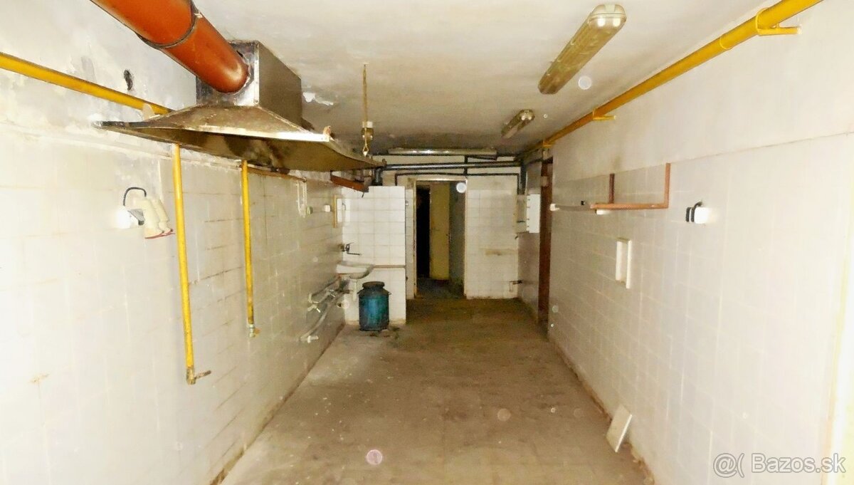 150 m2 - Nebytový priestor na PREDAJ, Trenčín centrum - 2