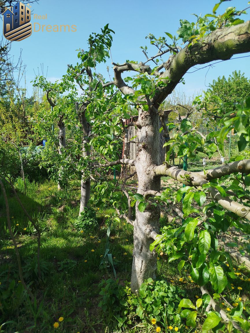 Na predaj záhrada v záhradkárskej osade v Šali – Veči - 2